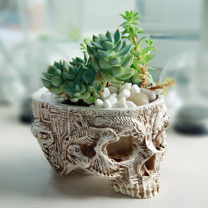 Hand Carved Skull Flower Pot Human Skull Bone Bowl Home Garden Decor Halloween Decoration